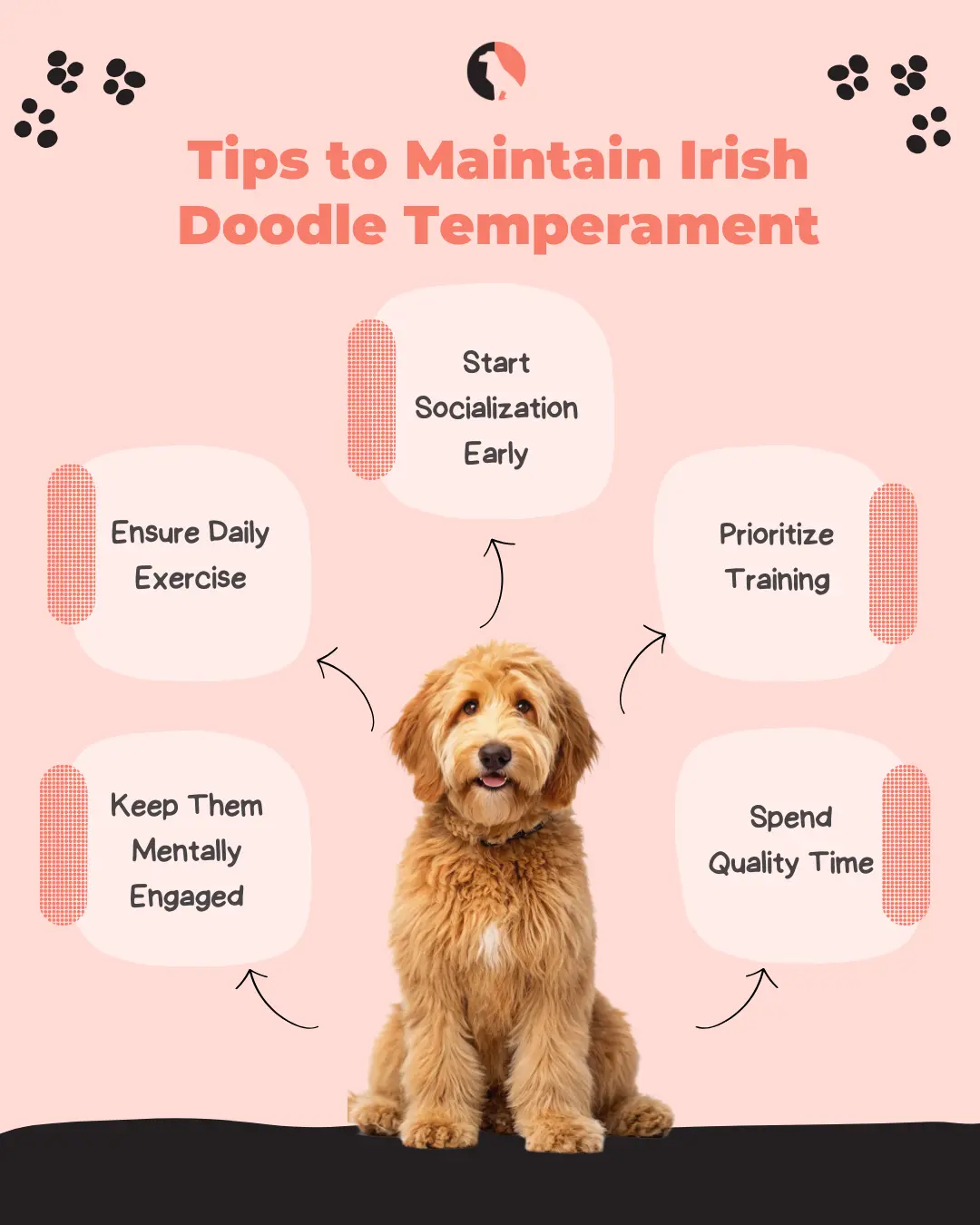 Temperament of the Irish Doodle tips