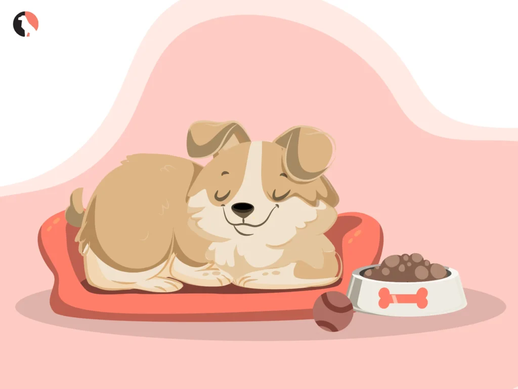 Cute cartoon dog sleeping on a red pet bed with a bowl of dry dog food and toy ball on a pink background