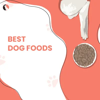 top-10-vet-recoomended-dog-food