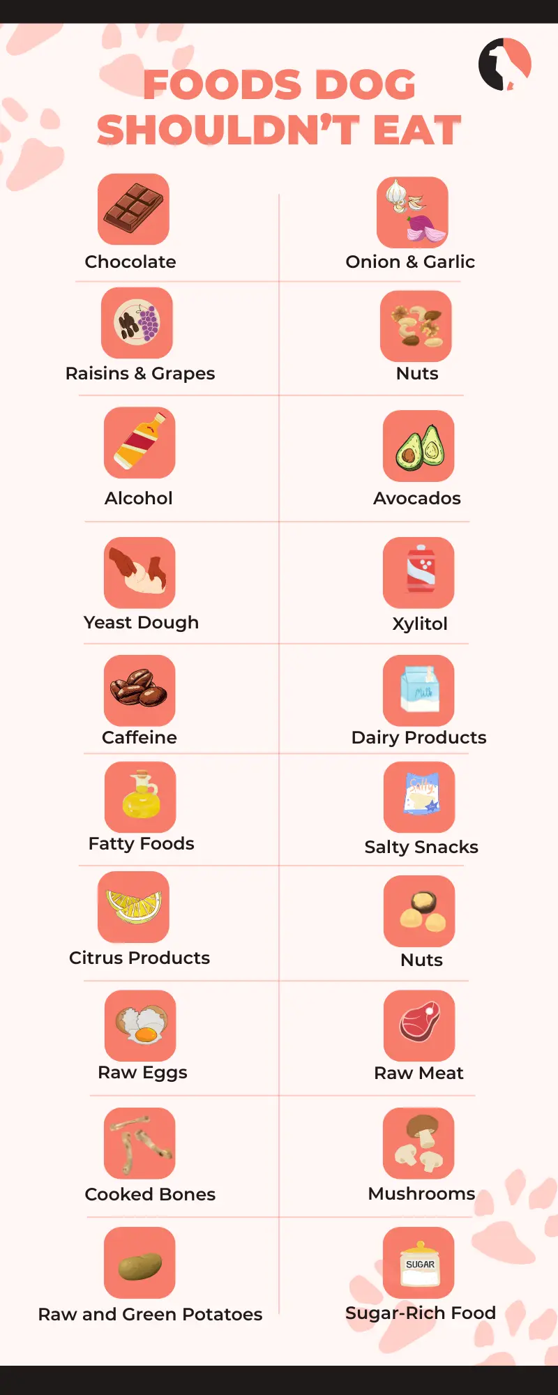 20 Toxic Dog Foods You Must Never Feed Your Pet