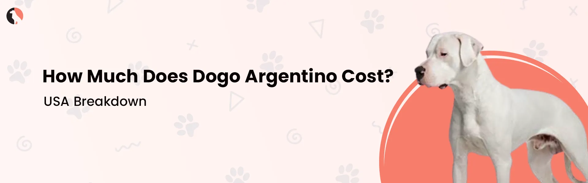 How Much Does a Dogo Argentino Cost? (USA Breakdown)