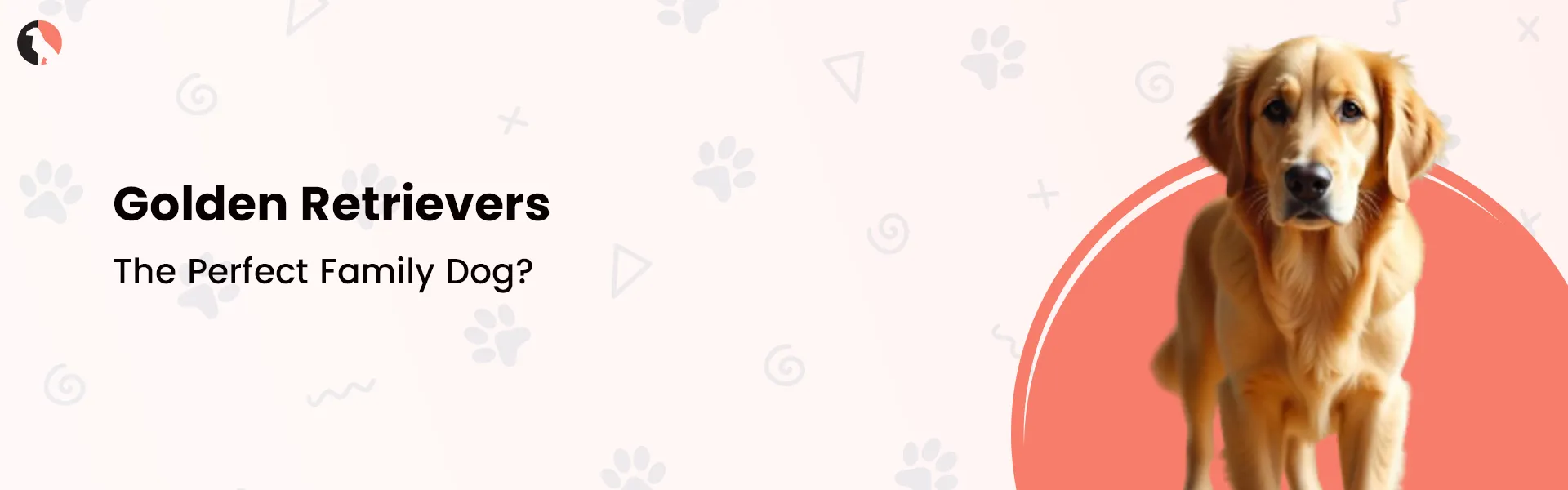 Golden Retrievers: The Perfect Family Dog?
