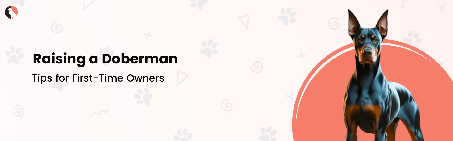 Raising a Doberman Pinscher: Tips for First-Time Owners