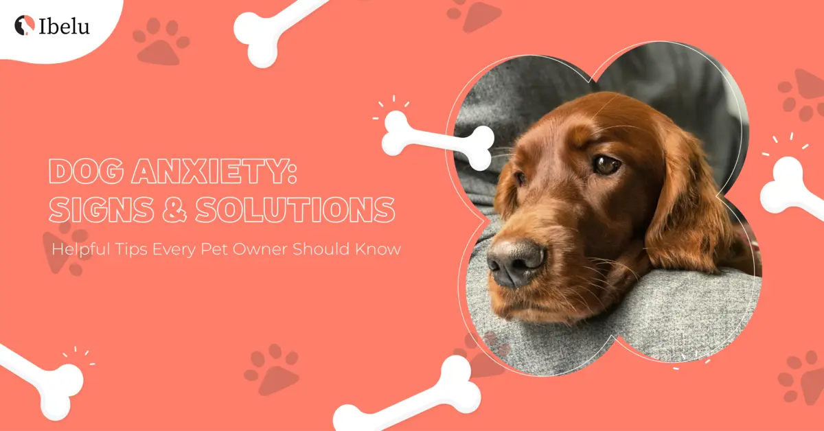 DOG ANXIETY BANNER
