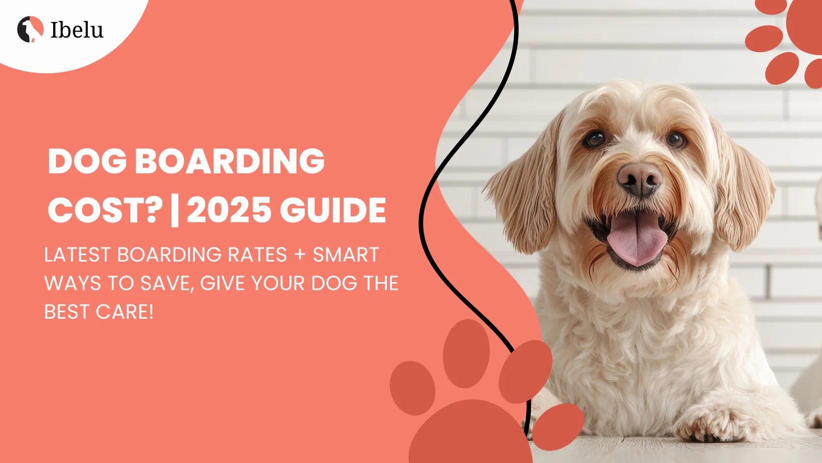 How Much Does Dog Boarding Cost banner