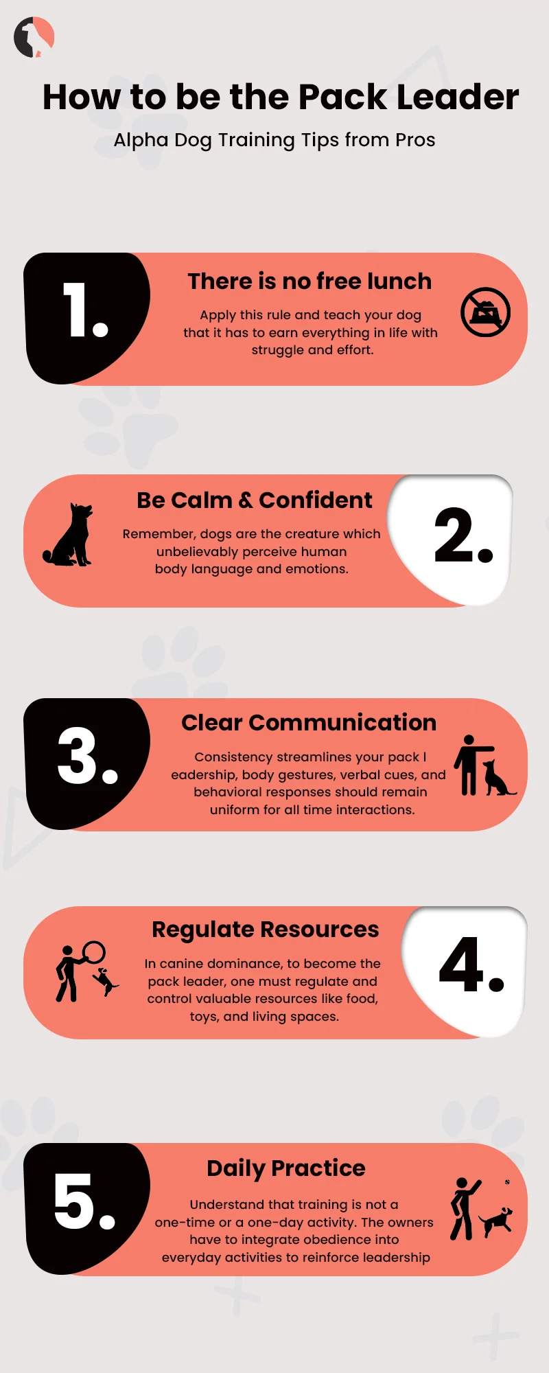 How to Be the Pack Leader Alpha Dog Training