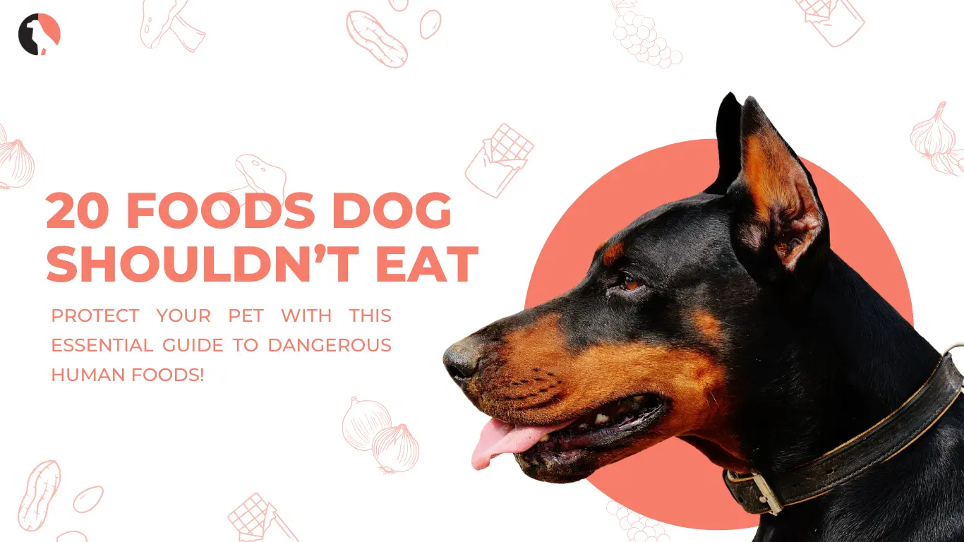 List of Toxic Dog Foods You Should Never Feed Your Pet