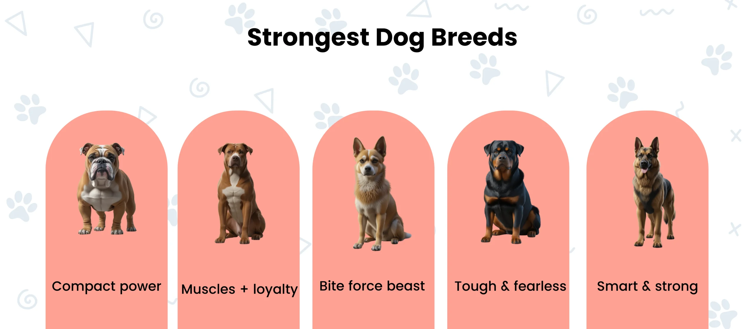 STRONGEST BREEDS