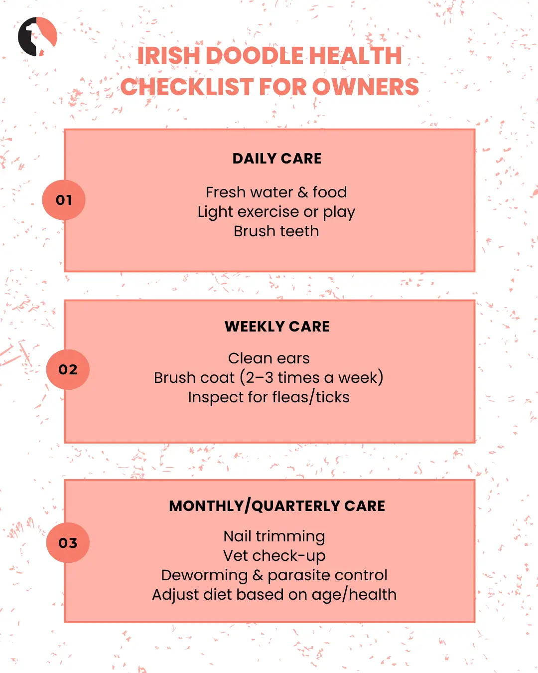 Common Irish Doodle Health Issues and How to Prevent Them