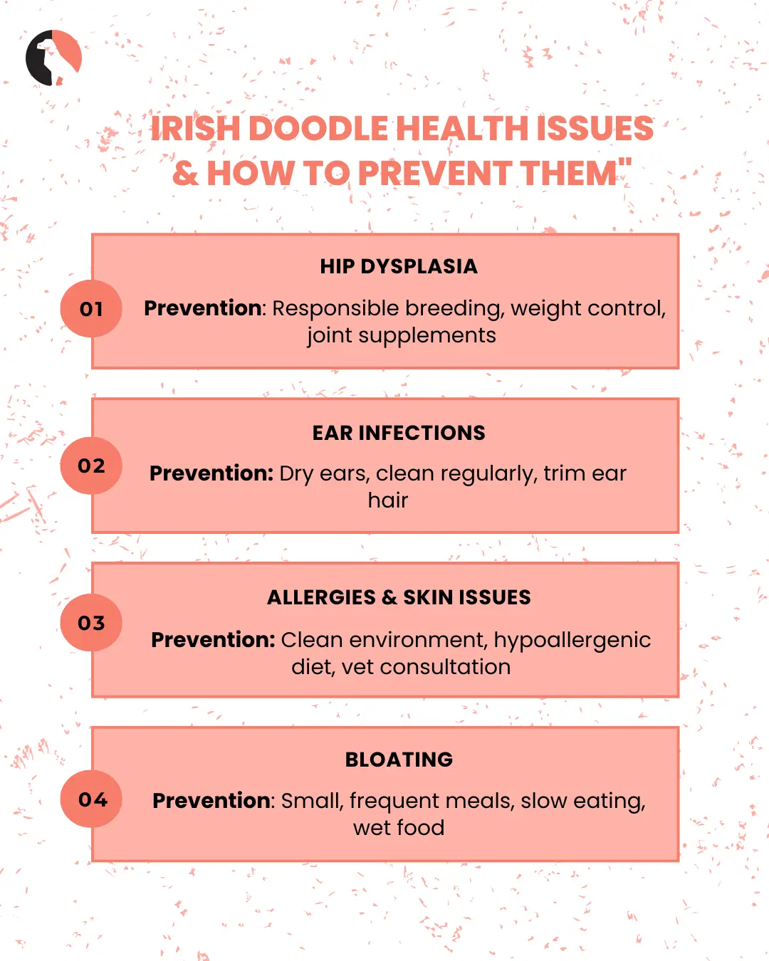 Irish Doodle Health Issues and How to Prevent Them Gujide