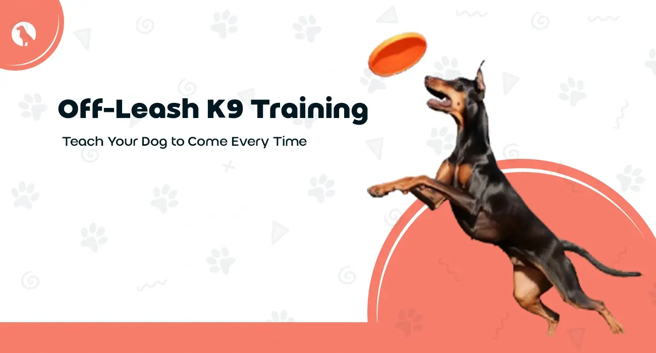 Meta Title: Off-Leash K9 Training, A perfect recall command every time. Meta Description: Learn our proven Off-Leash K9 training to transform your dog’s recall. Ensure your dog comes when called every time, giving you confidence and control off-leash.