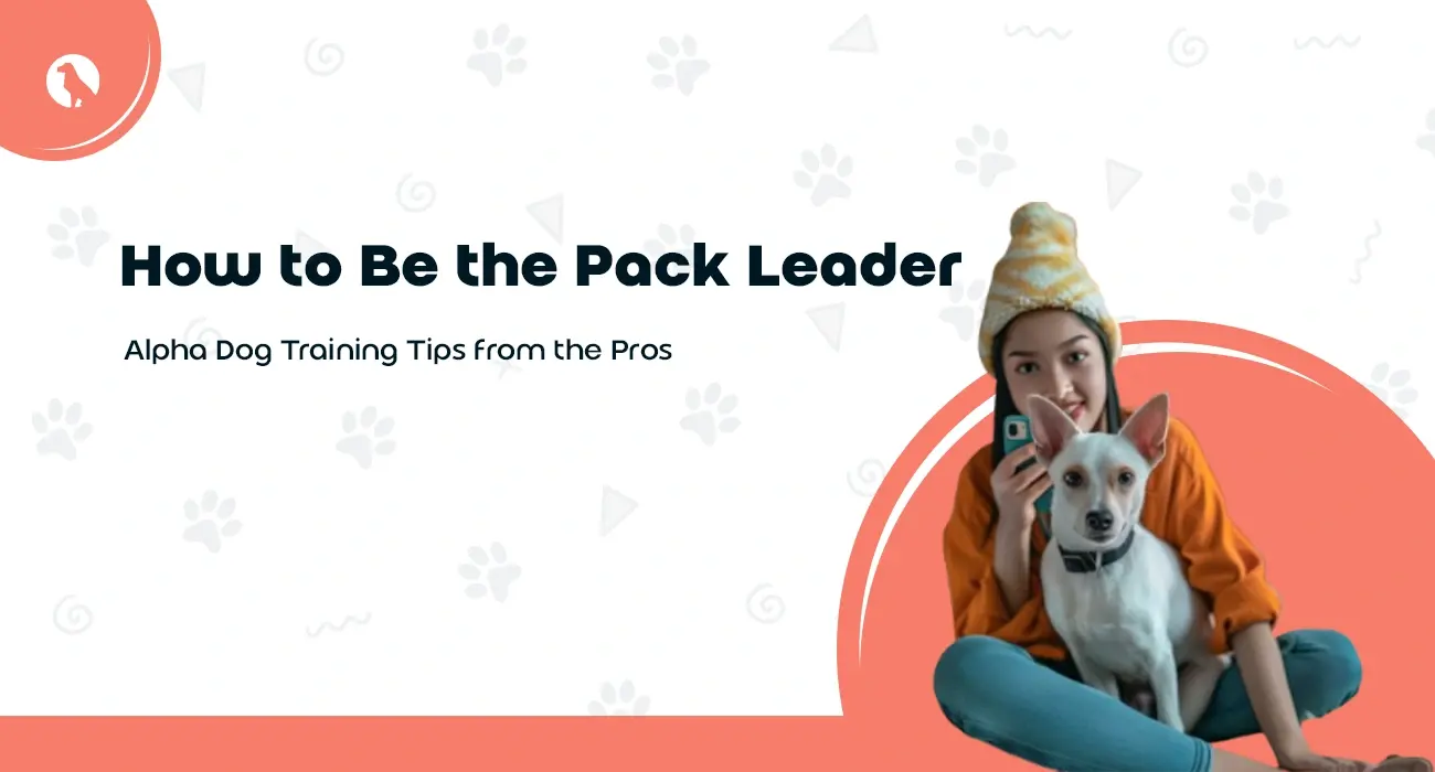 How to Be the Pack Leader: Alpha Dog Training Tips from the Pros