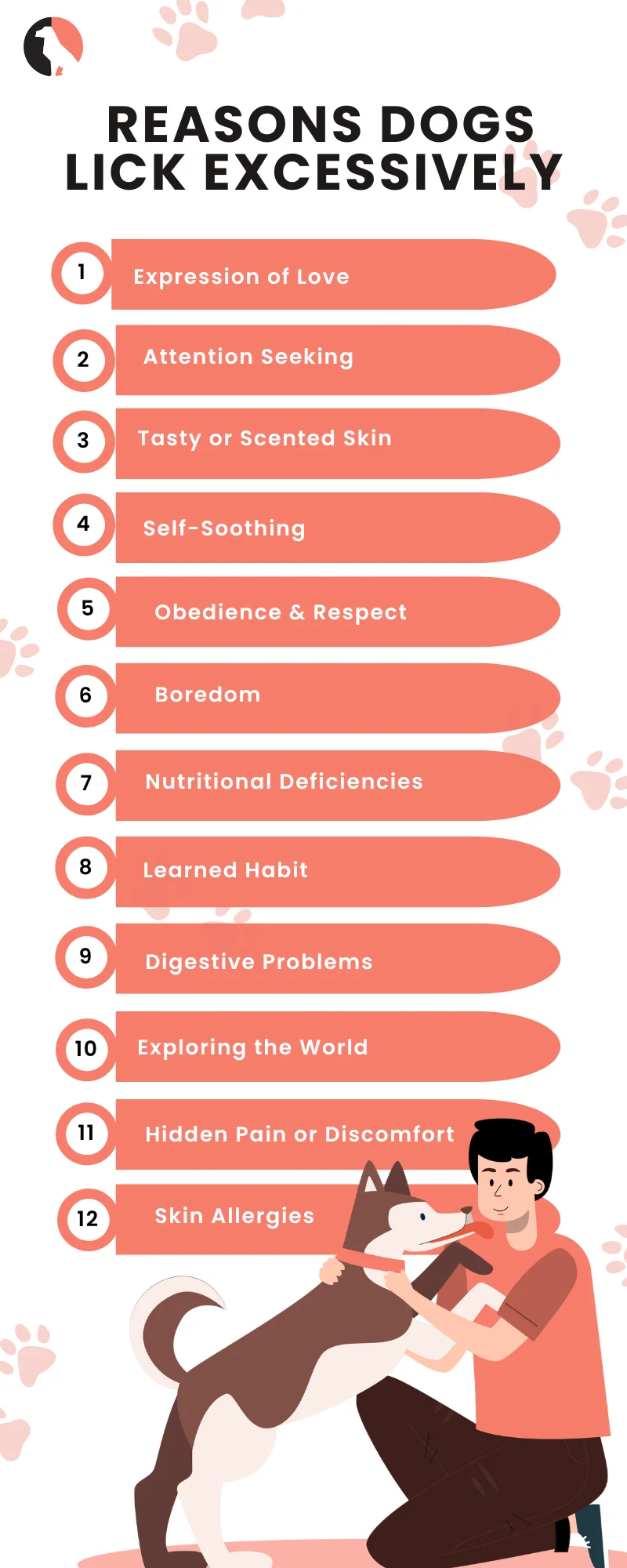 12 Reasons Dogs Lick Excessively infographics