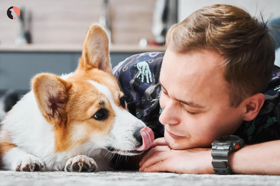 12-Reasons-Dogs-Lick-Excessively(Expression-of-Love)