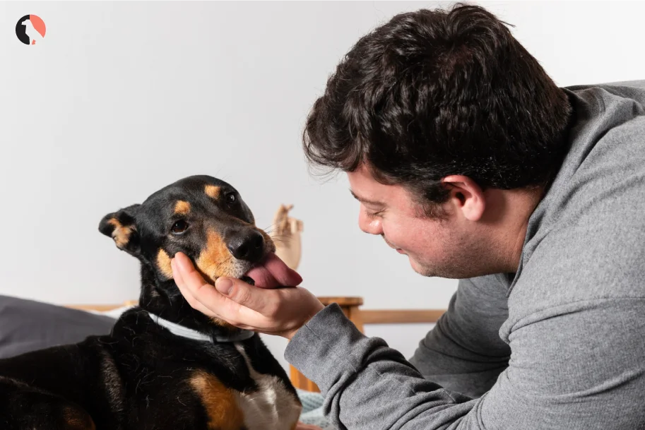 12-Reasons-Dogs-Lick-Excessively(Taste-and-Scent)