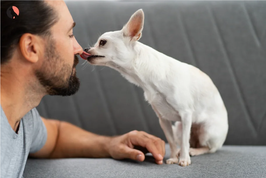 12-Reasons-Dogs-Lick-Excessively(learned-behaviour)