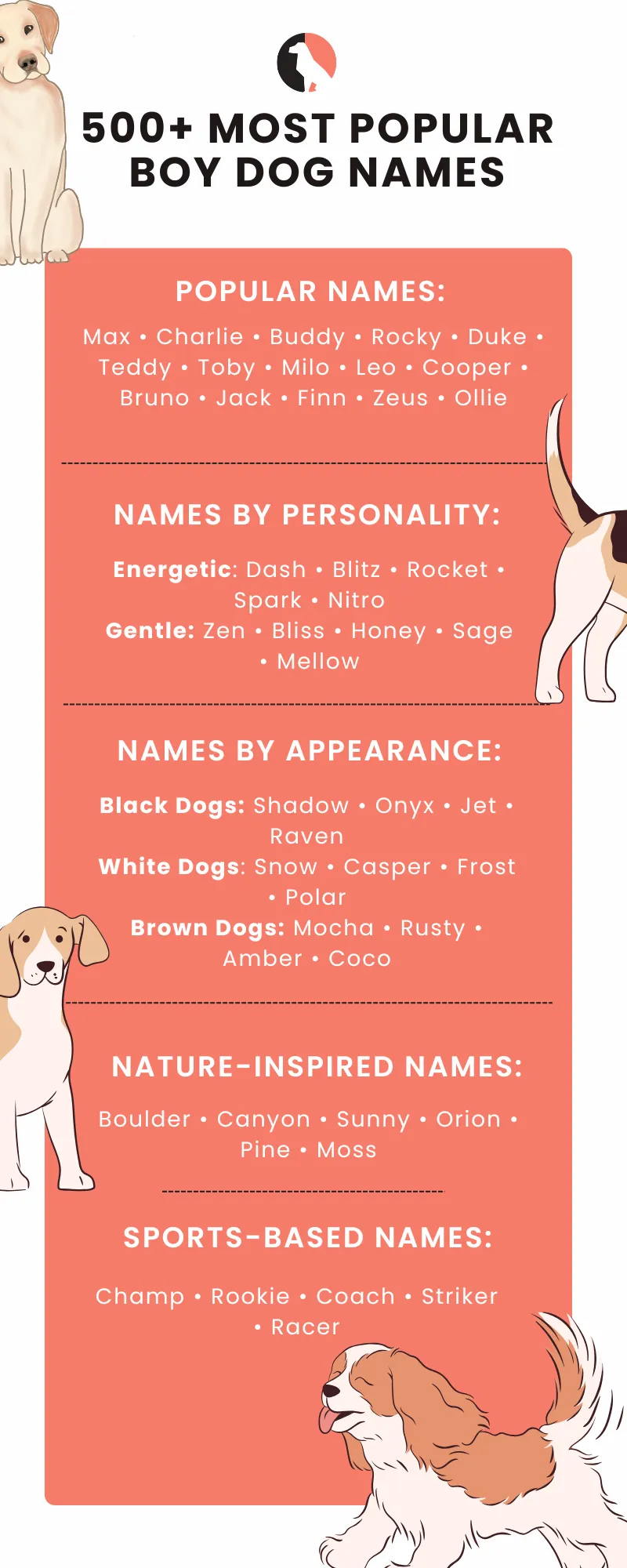 Best Boy Dog Names: Cool, Unique and Popular