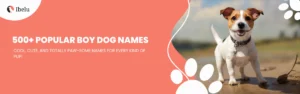 Best Boy Dog Names: Cool, Unique and Popular