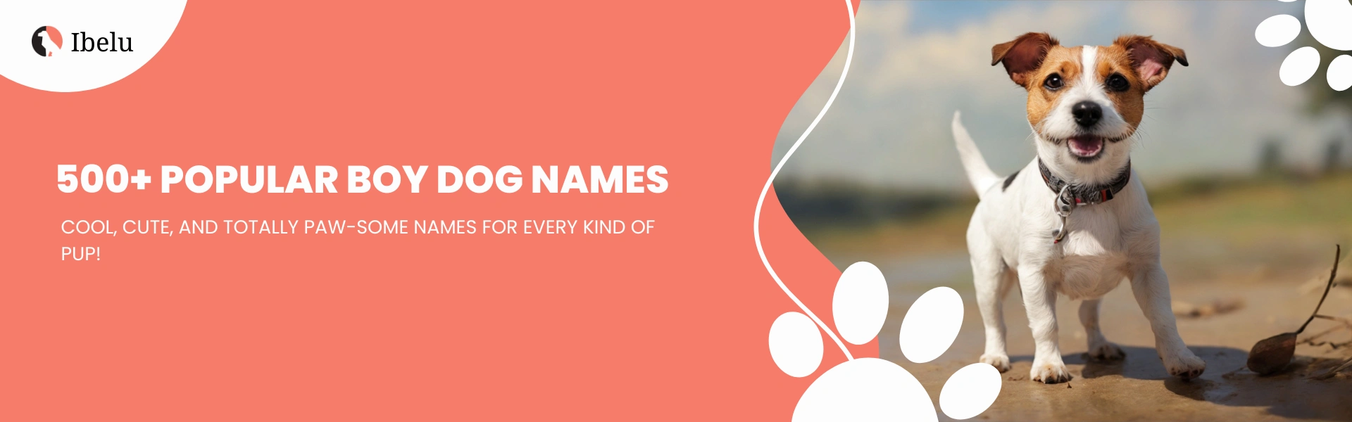 Best Boy Dog Names: Cool, Unique and Popular