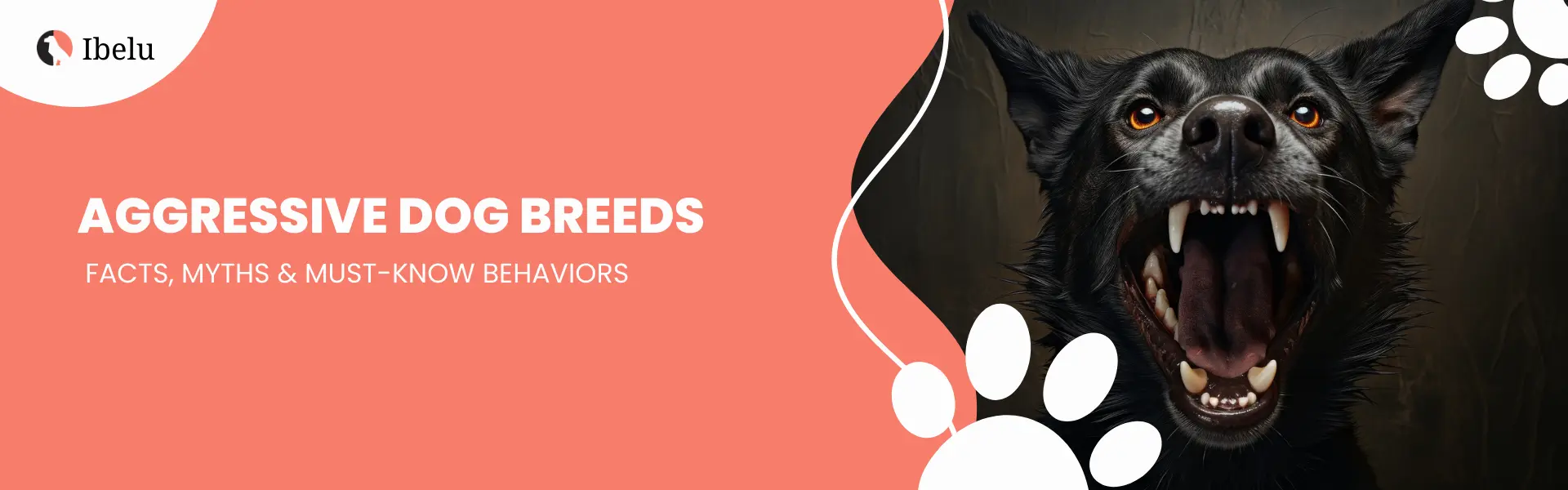 Aggressive Dog Breeds banner (1)