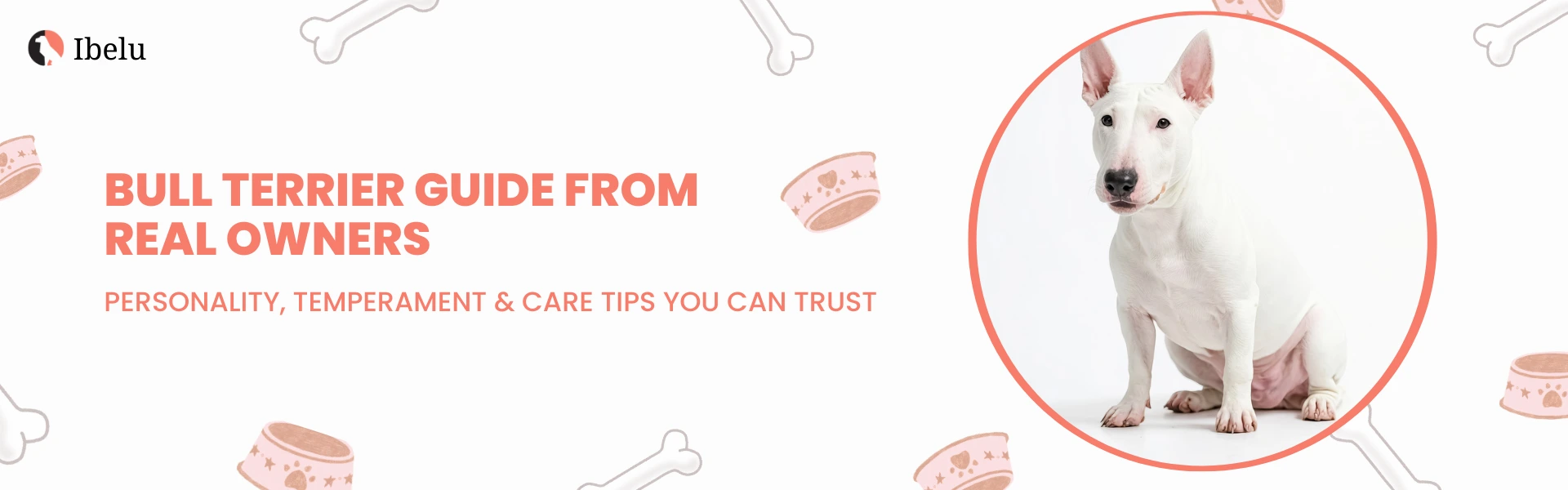 Bull Terrier Guide from Real Owners banner
