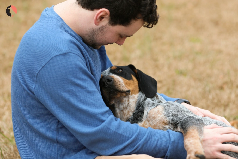Can-My-Pet-Be-an-Emotional-Support-Animal-(How-to-Make-a-Dog-an-Emotional-Support-Animal)