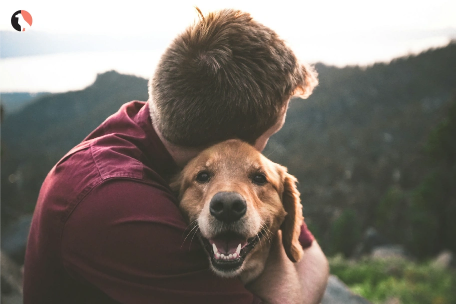 Can-My-Pet-Be-an-Emotional-Support-Animal(How-to-Make-a-Dog-an-Emotional-Support-Animal)-(option-2)