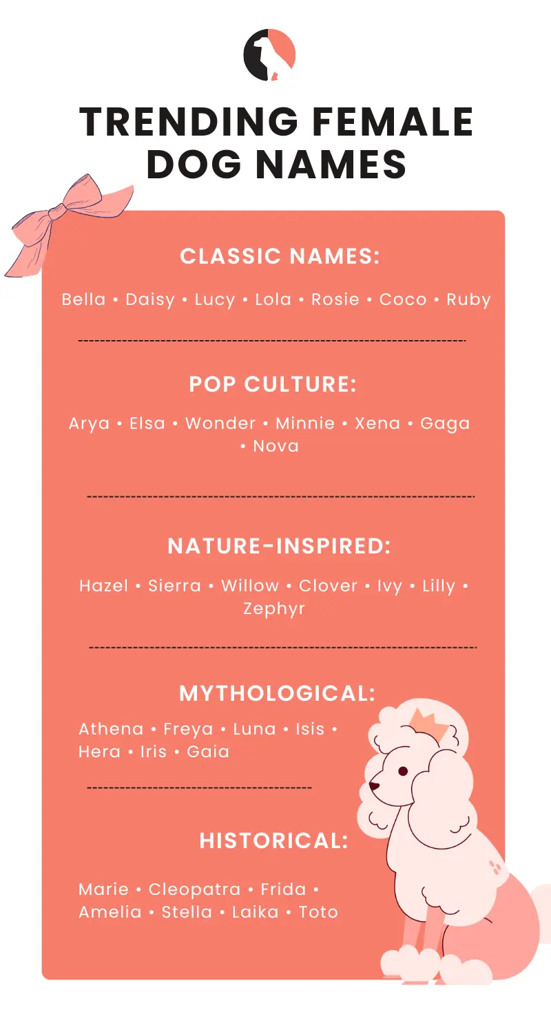 Female Dog Names (Trending Female Dog Names)