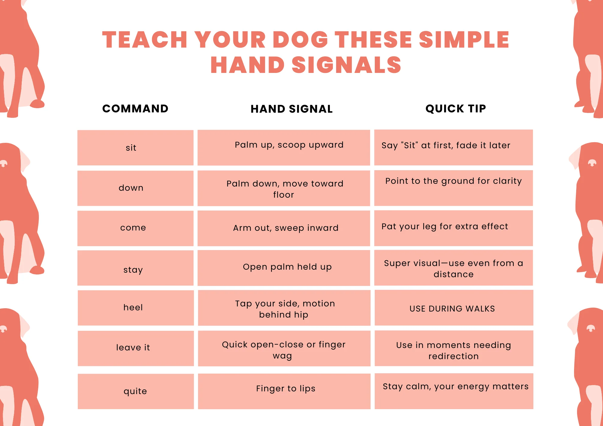 Hand Signal Dog Training (Common Hand Signals for Dogs) infographic