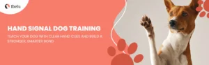 Hand Signal Dog Training banner