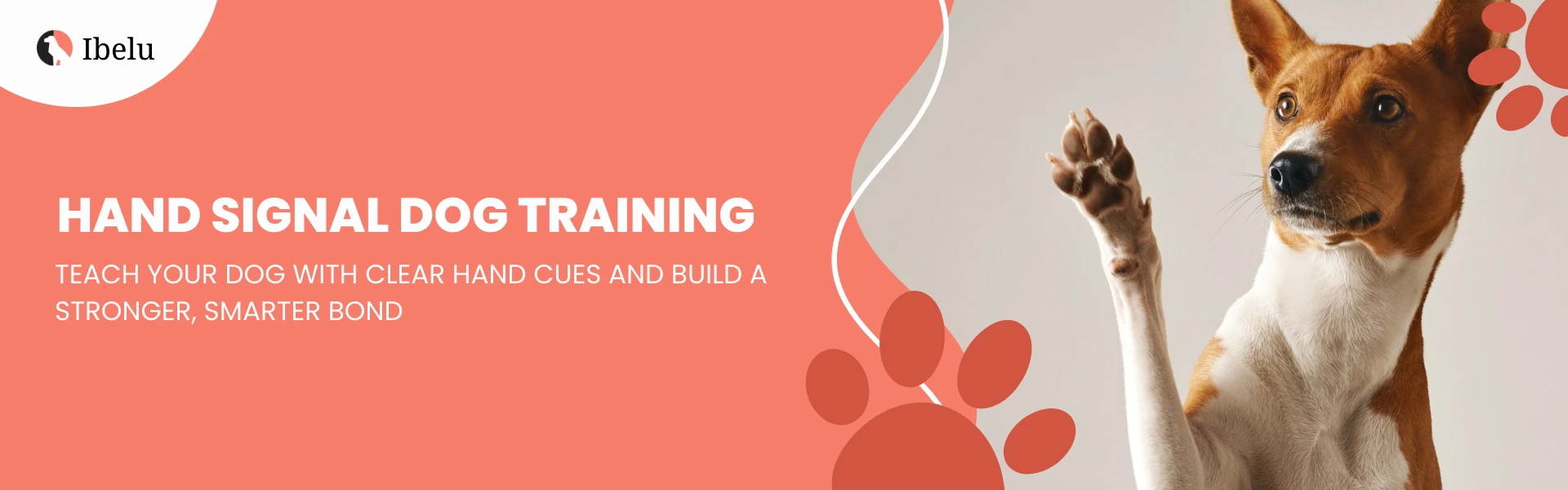 Hand Signal Dog Training banner
