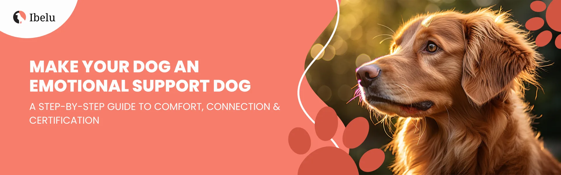 Make Your Dog an Emotional Support Dog banner (1)