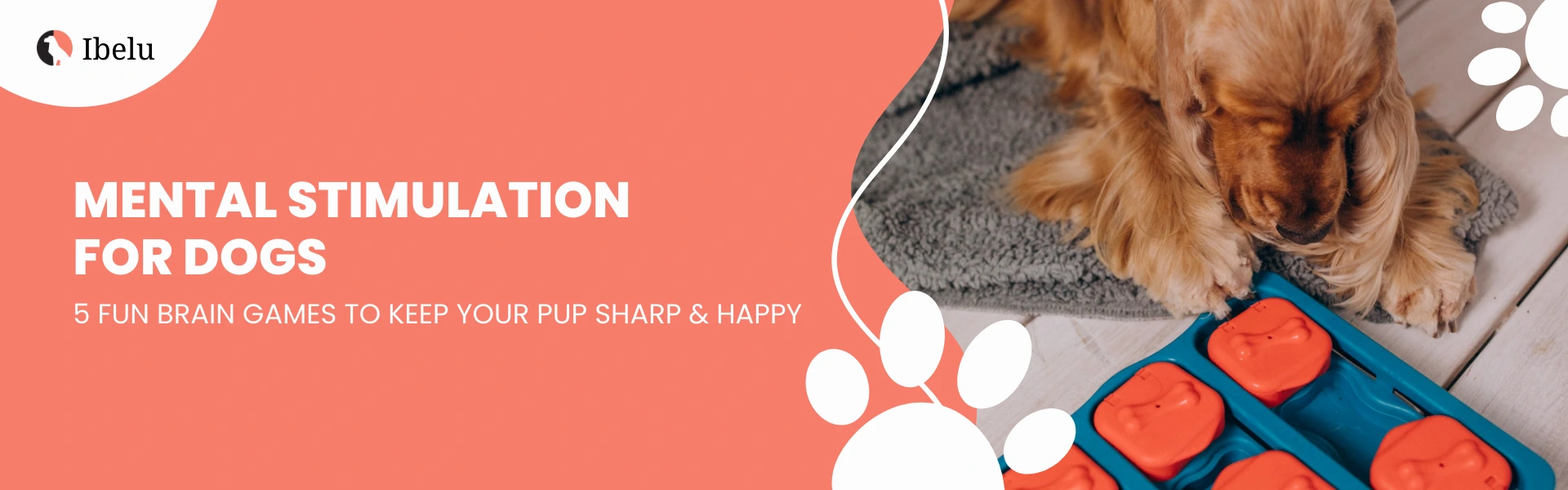 Mental Stimulation for Dogs 5 Creative Ways to Engage Your Pup’s Mind
