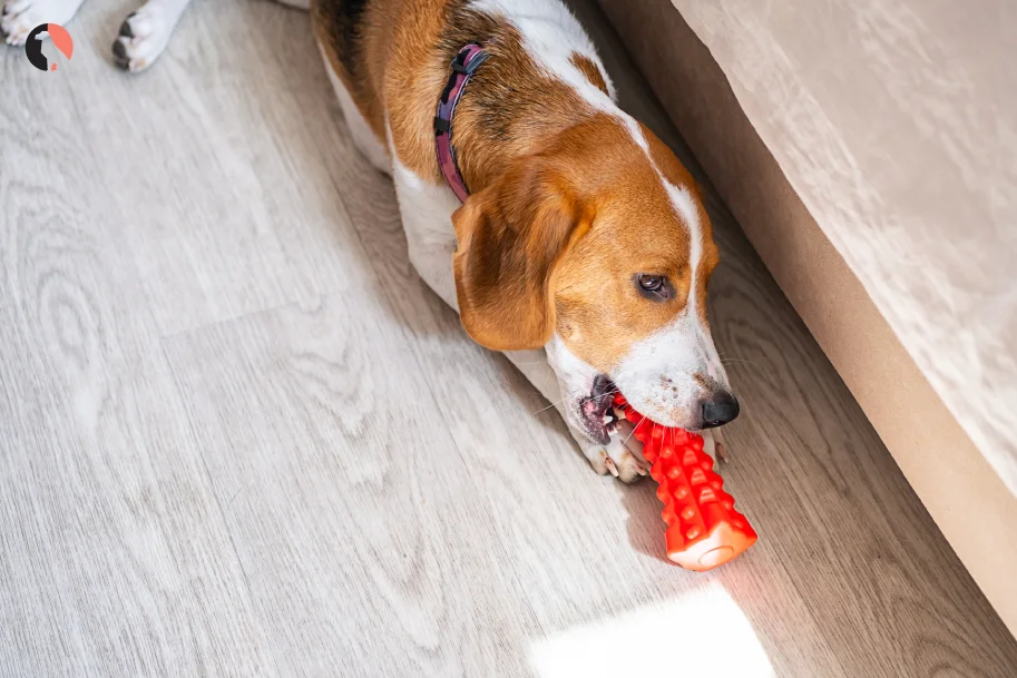 Mental Stimulation for Dogs 5 Simple Ways to Engage Your Pup’s Mind