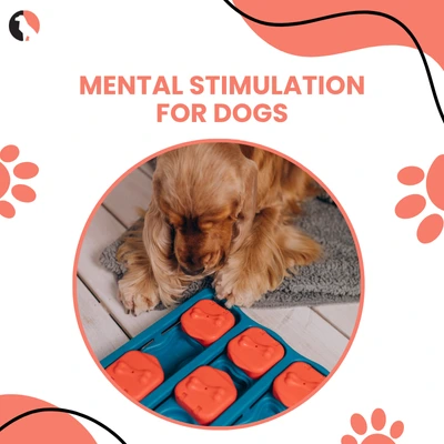 Mental Stimulation for Dogs Creative Ways to Engage Your Pup’s Mind