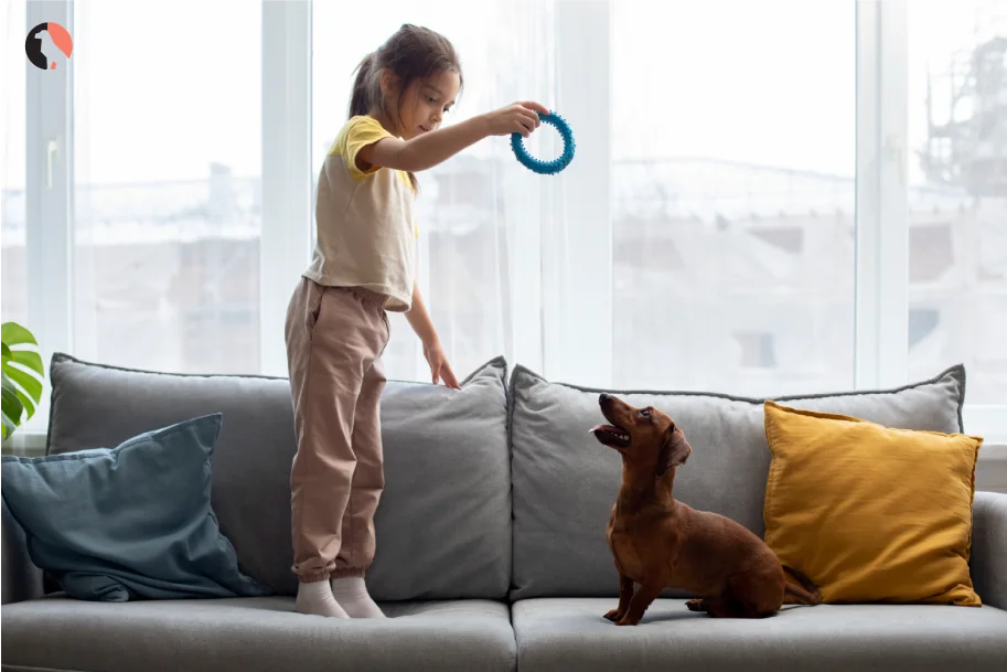 Mental Stimulation for Dogs Ways to Engage Your Pup’s Mind