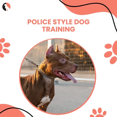 Police Style Dog Training Lead thumbnail