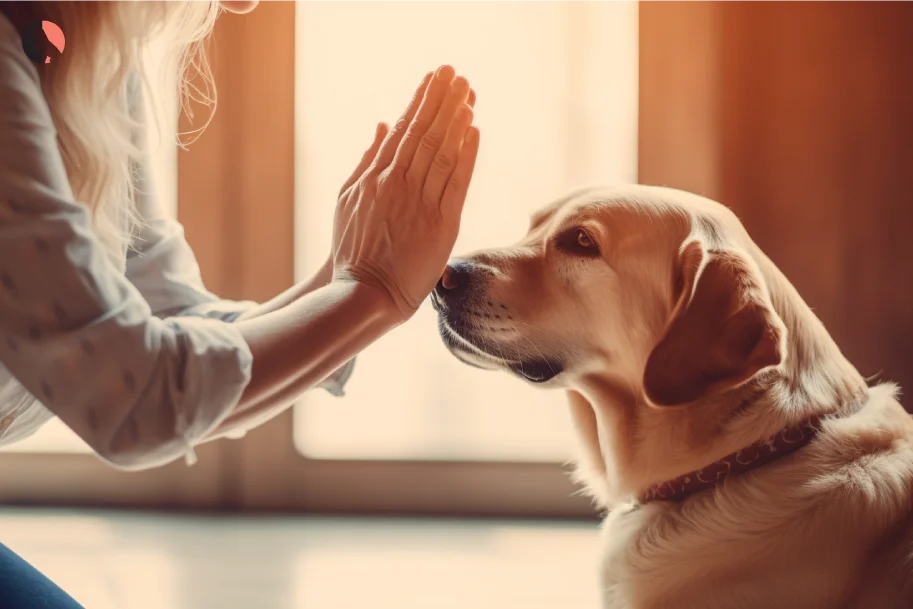 The Ultimate Hand Signal Dog Training Guide Train Your Dog with Ease