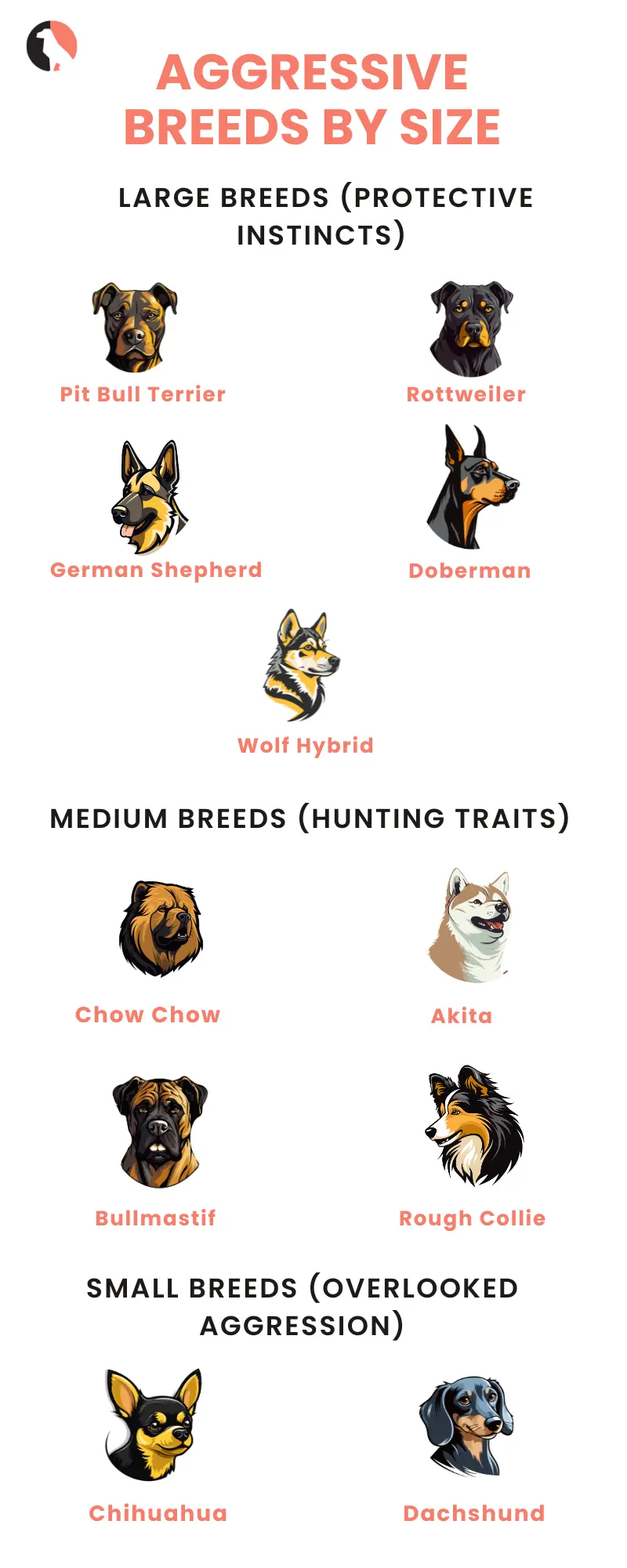 aggreresive dog breeds (Aggressive Breeds by Size )