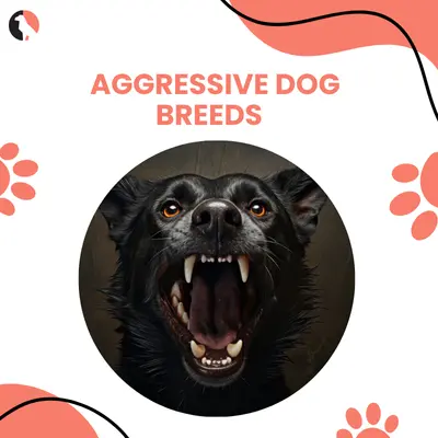 aggresive dog breeds thumbnail