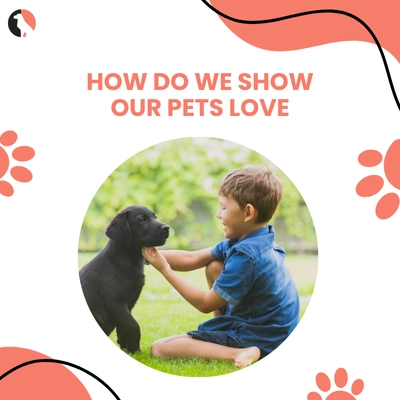10 Ways to Make Your Dog Know You Love Them