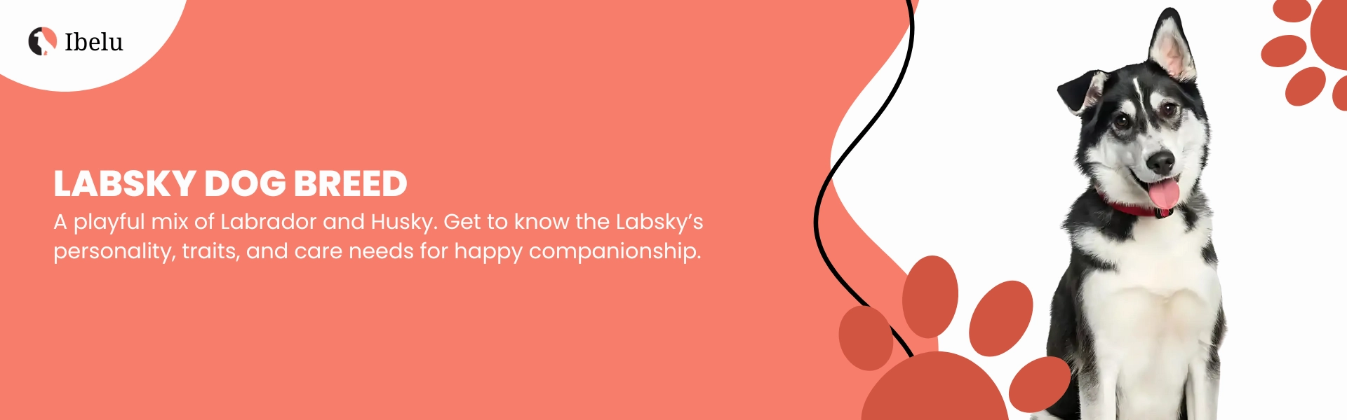 Labsky Dog Breed Guide