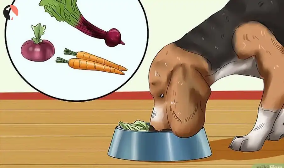 What kills worms in dogs 