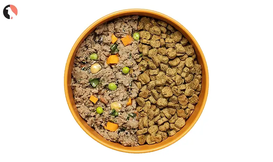Calming Dog Food