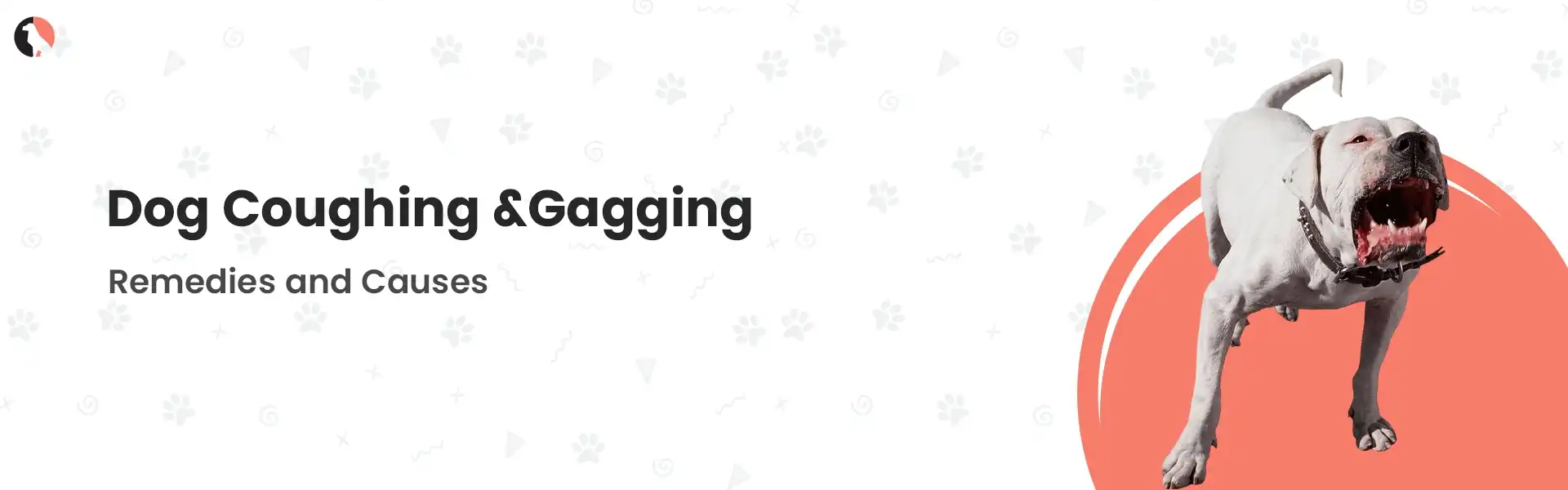 dog coughing and gagging