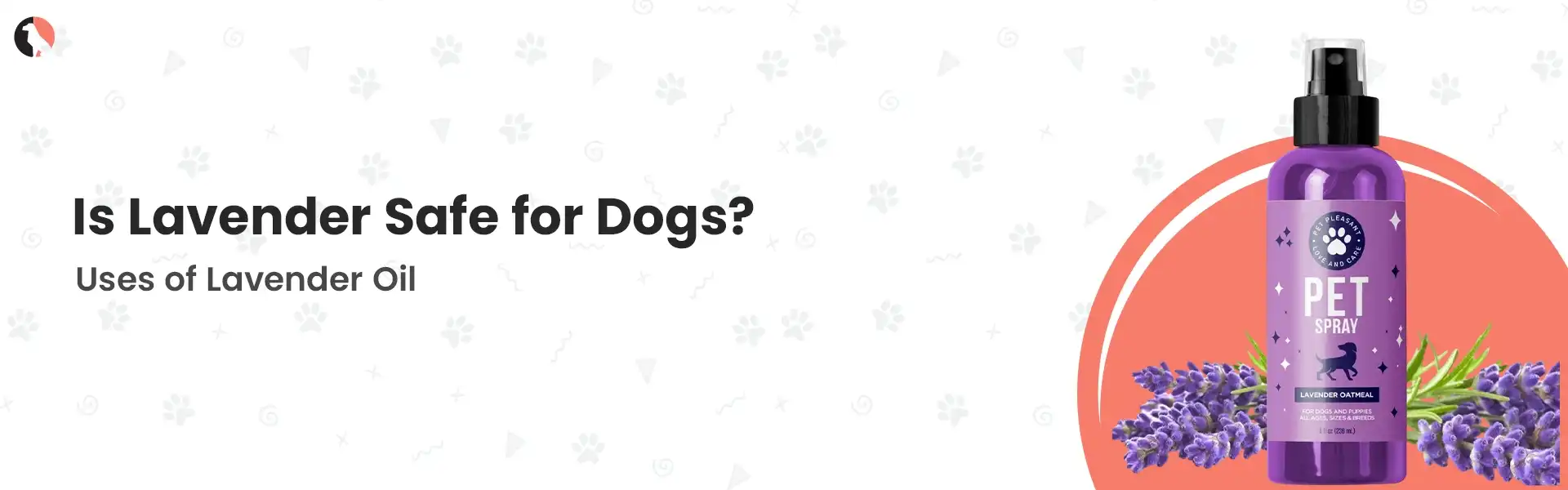 is lavender safe for dogs