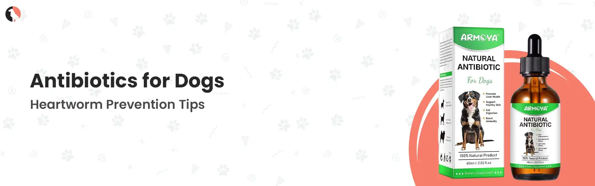 antibiotics for dogs