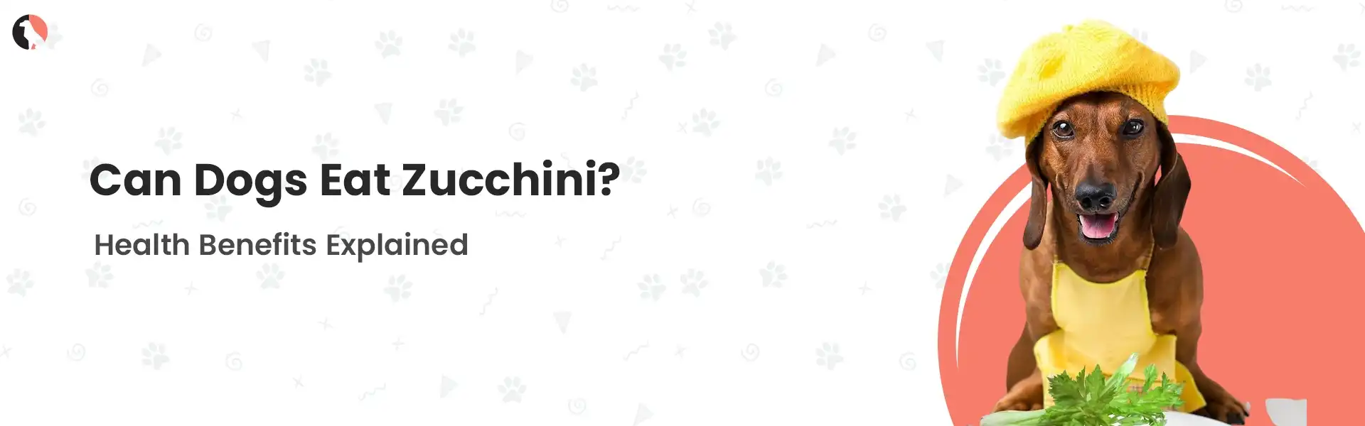 can dogs eat zucchini
