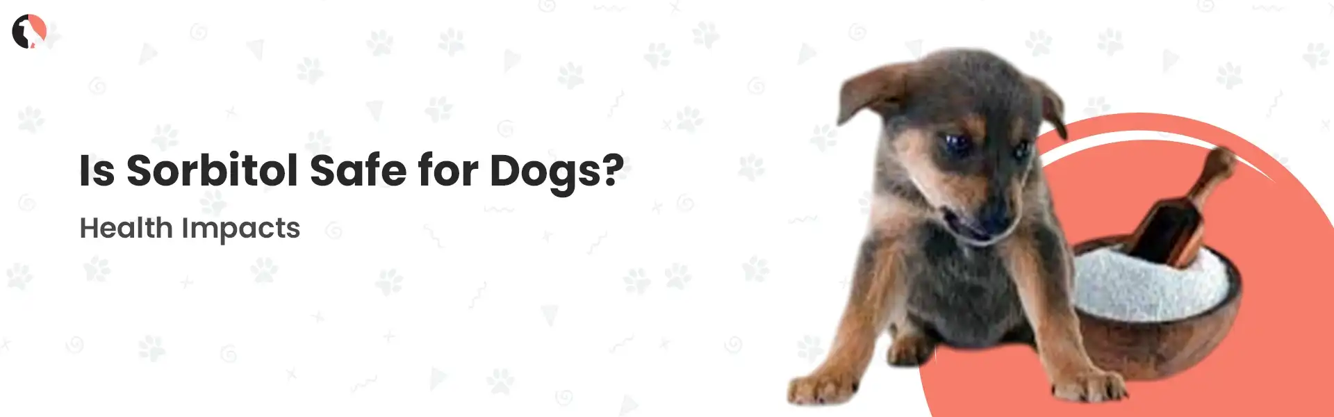 Is Sorbitol Safe for Dogs