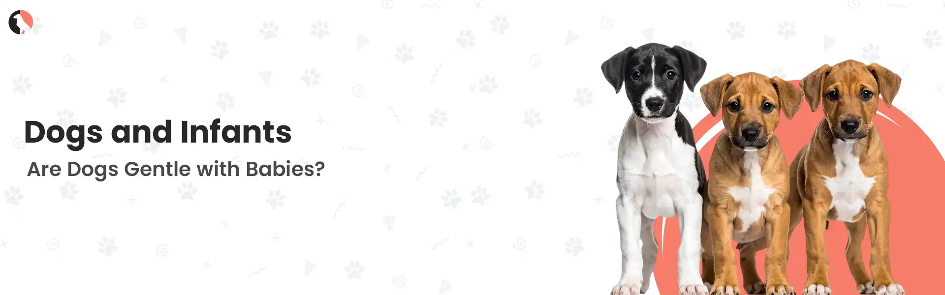 Dogs and Infants